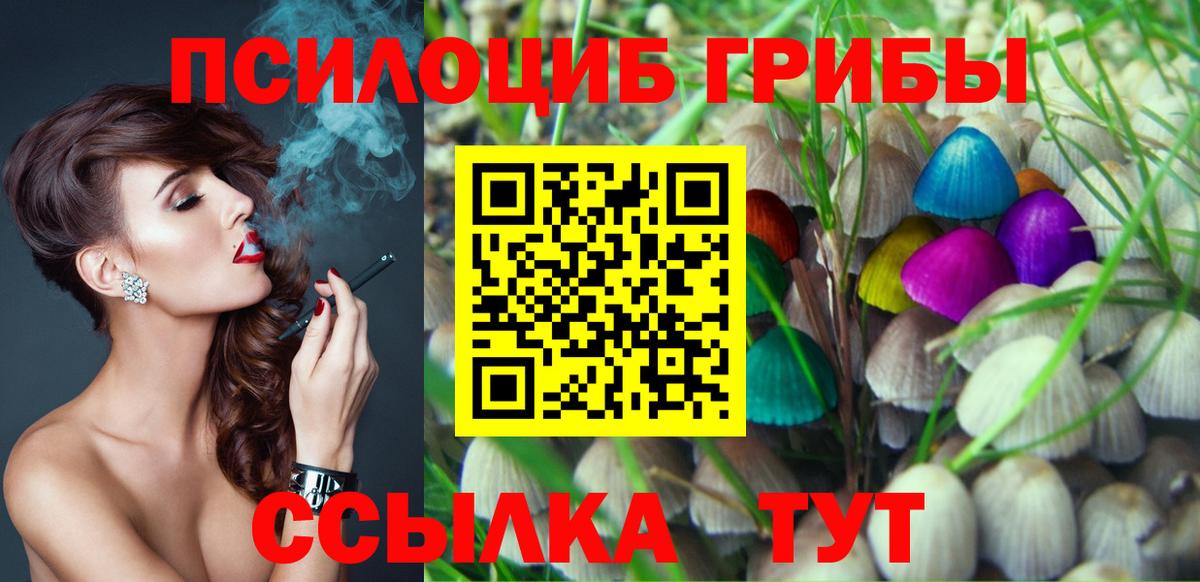 Галлюциногенные грибы прущие грибы Заволжье